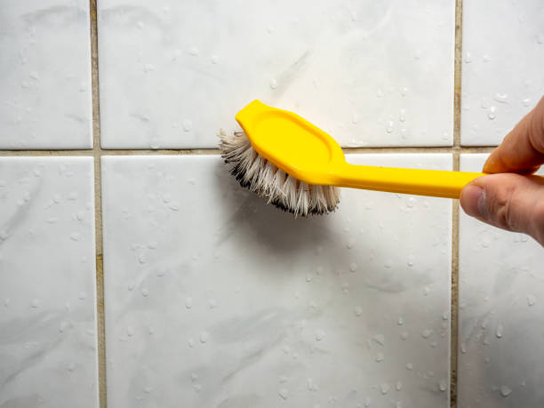 Best Professional Mold Removal  in Chester, MD
