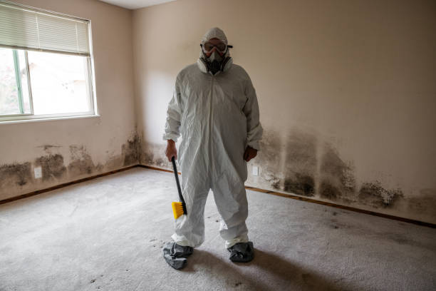 Best Mold Removal Process  in Chester, MD